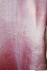 Photo Textures of RAW Beef Meat